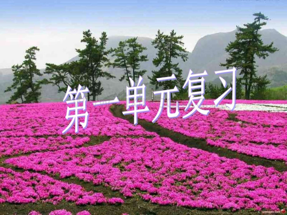 八年级科学下册复习.pptx_第1页
