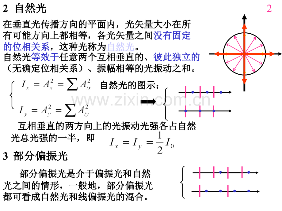 光的偏振总结.pptx_第2页