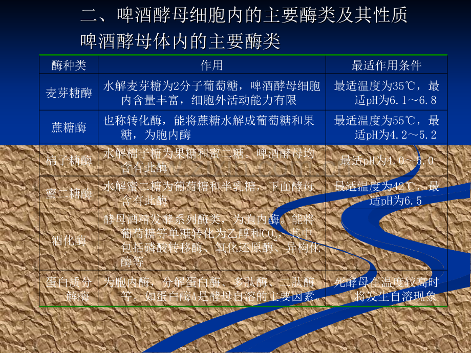 燕京啤酒发酵制造工艺流程生物科技有限公司专制.pptx_第2页