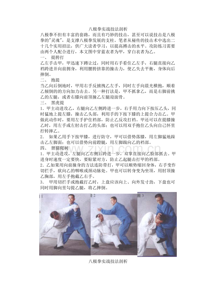 八极拳实战技法剖析.doc_第1页