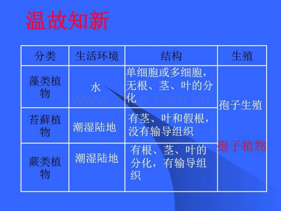 初一生物种子植物.pptx_第1页