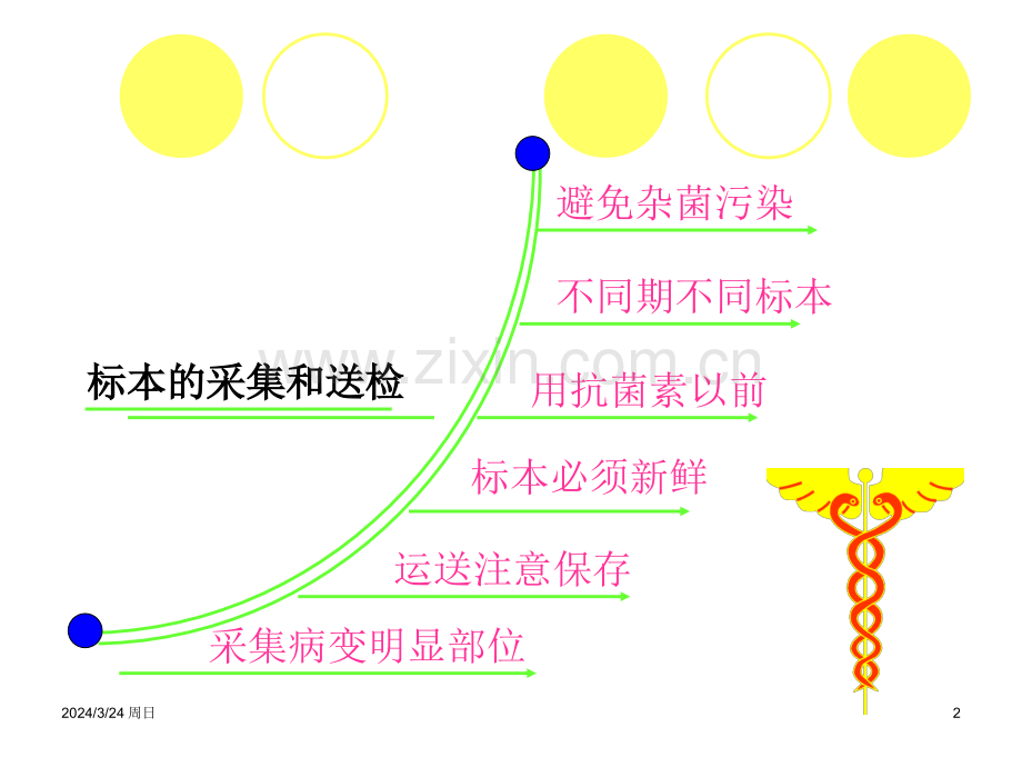 感染的检查与防治.pptx_第2页