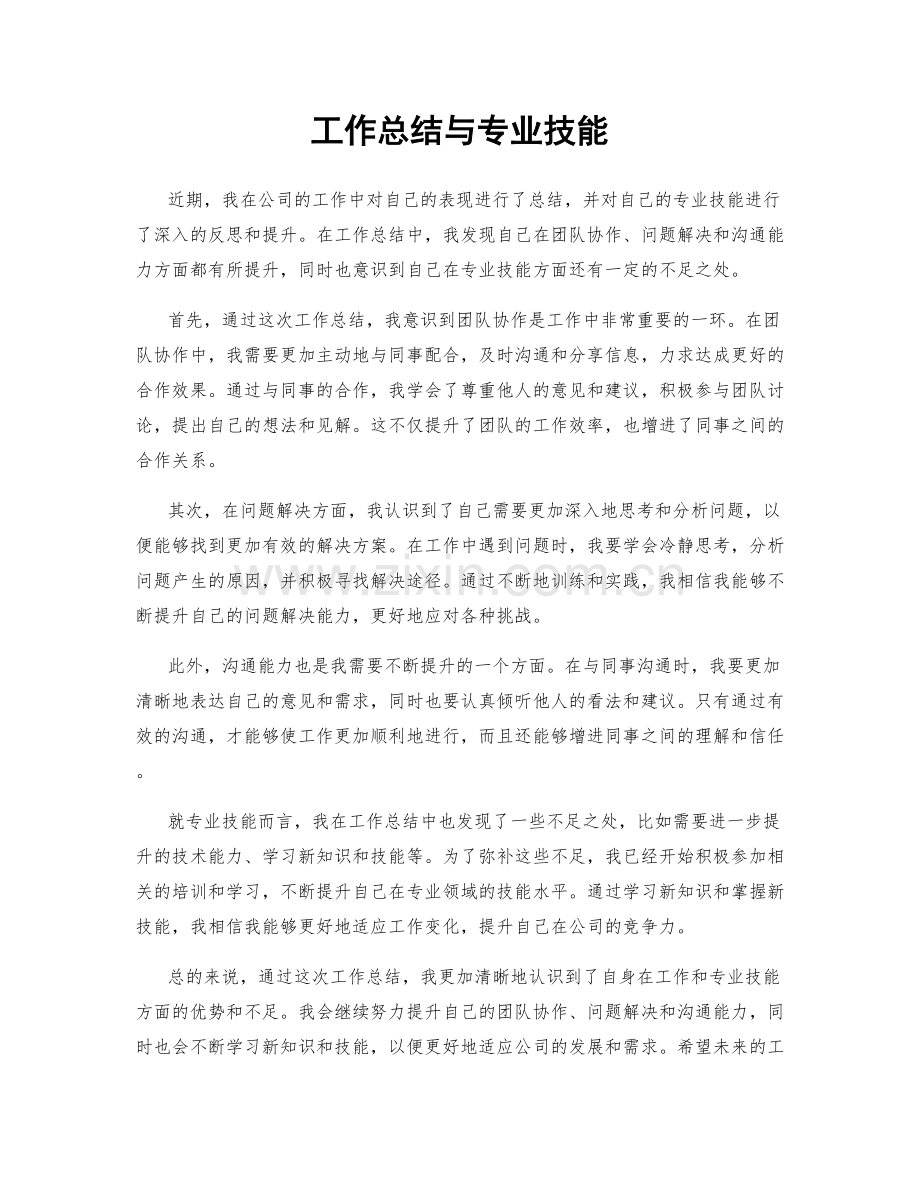 工作总结与专业技能.docx_第1页