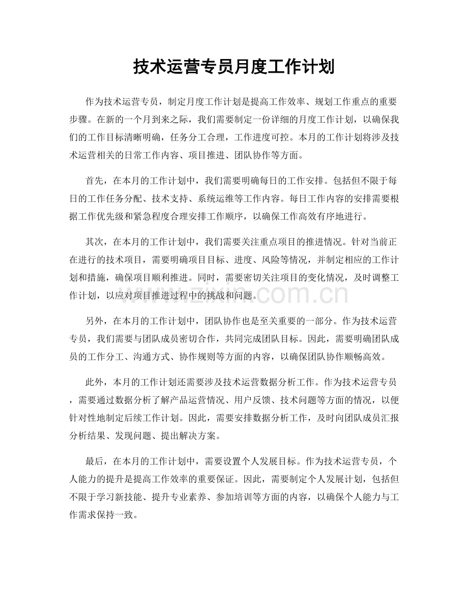 技术运营专员月度工作计划.docx_第1页