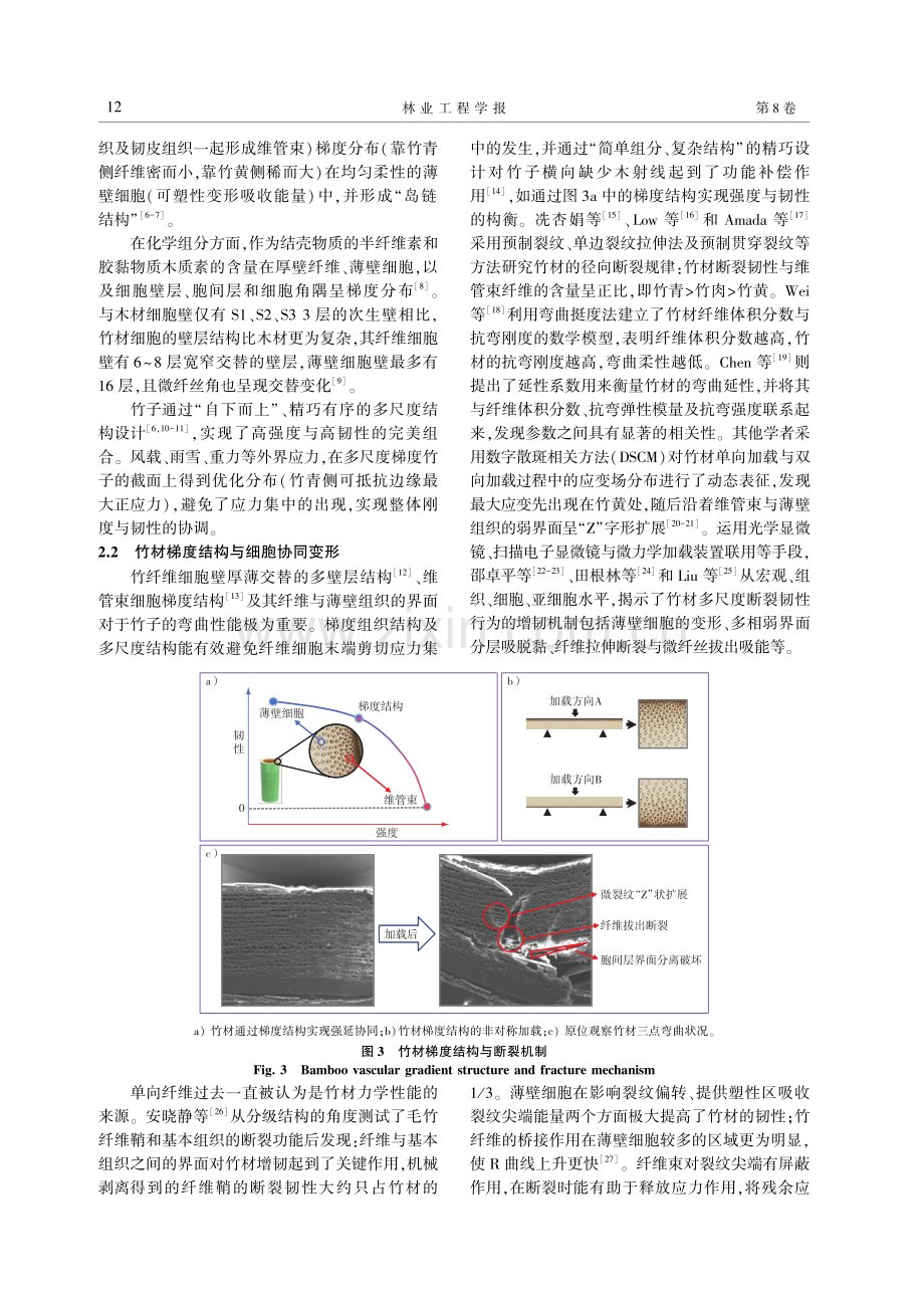 竹材多尺度下强韧性及水热影响研究进展.pdf_第3页