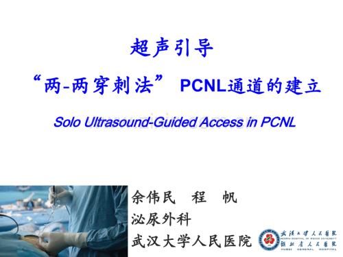 超声引导两两穿刺法-PCNL通道的建立.pptx