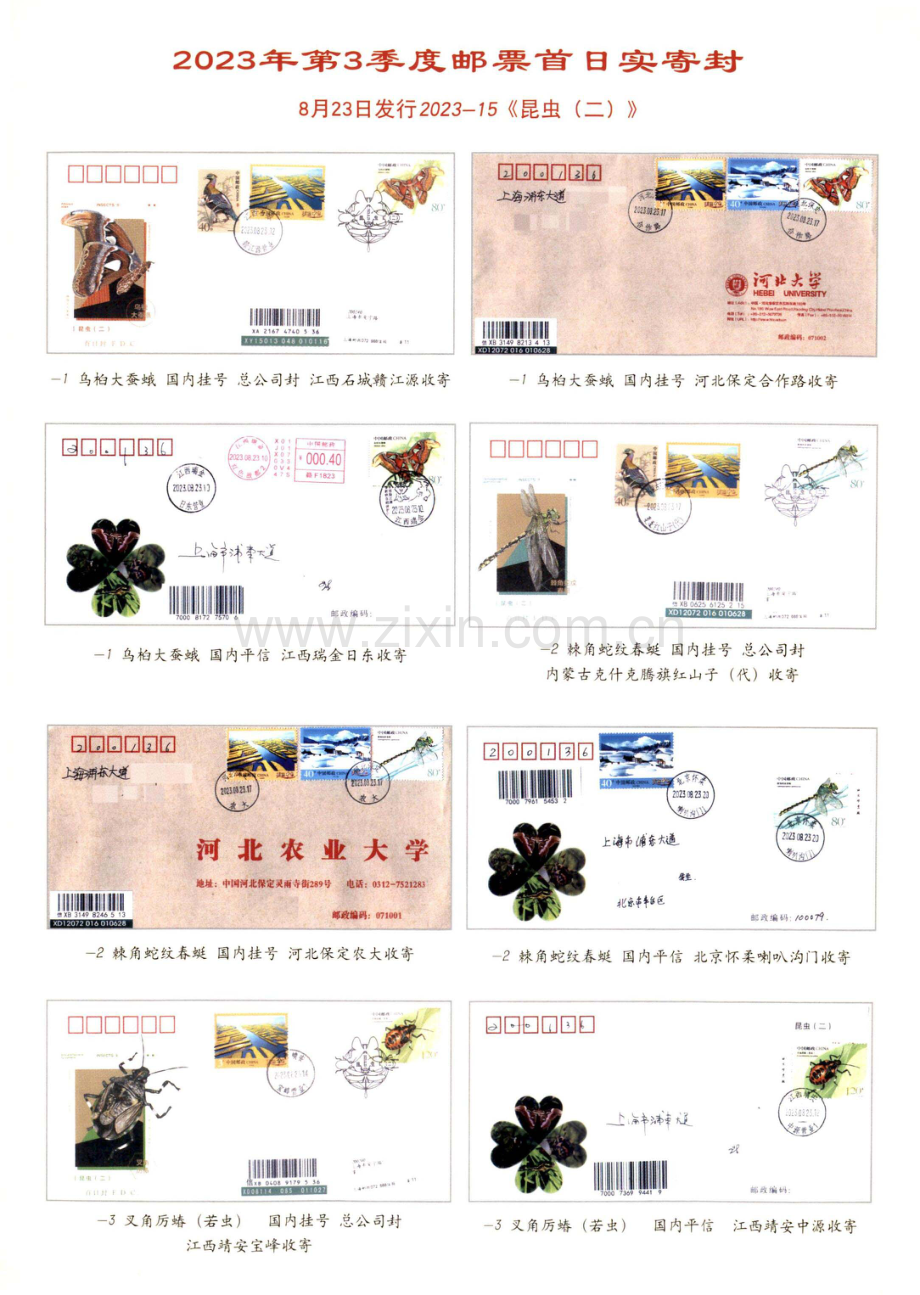 2023年第3季度邮票首日实寄封 8月23日发行2023-15《昆虫（二）》.pdf_第1页
