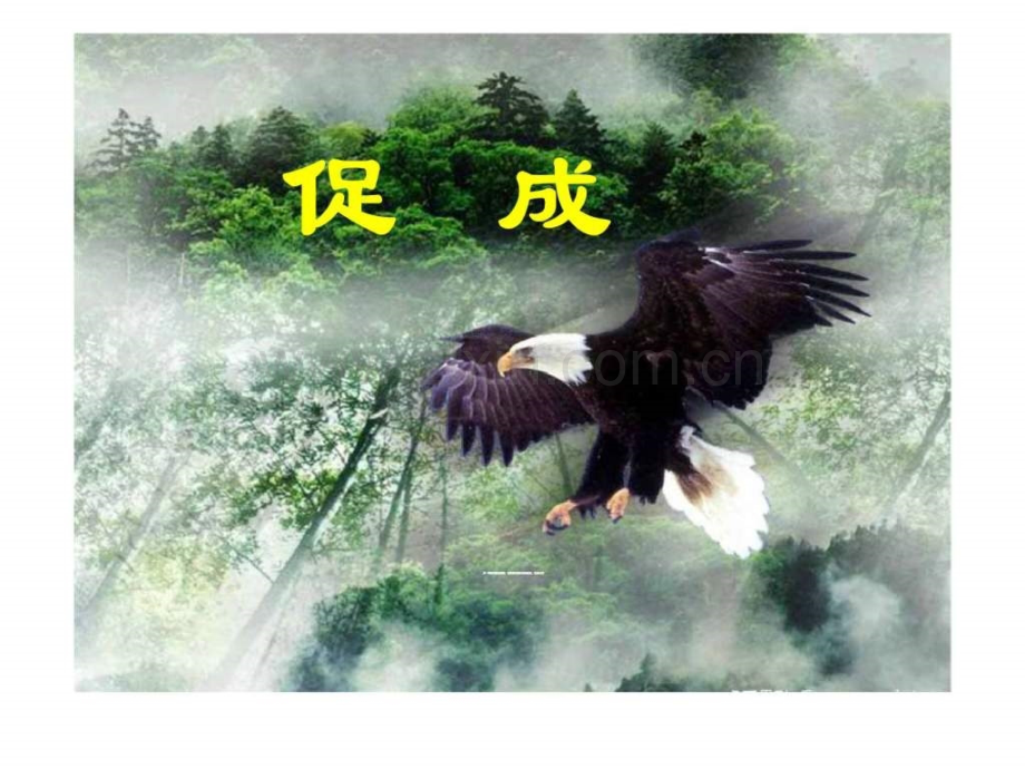 保险营销促成成交的六大方法.pptx_第1页