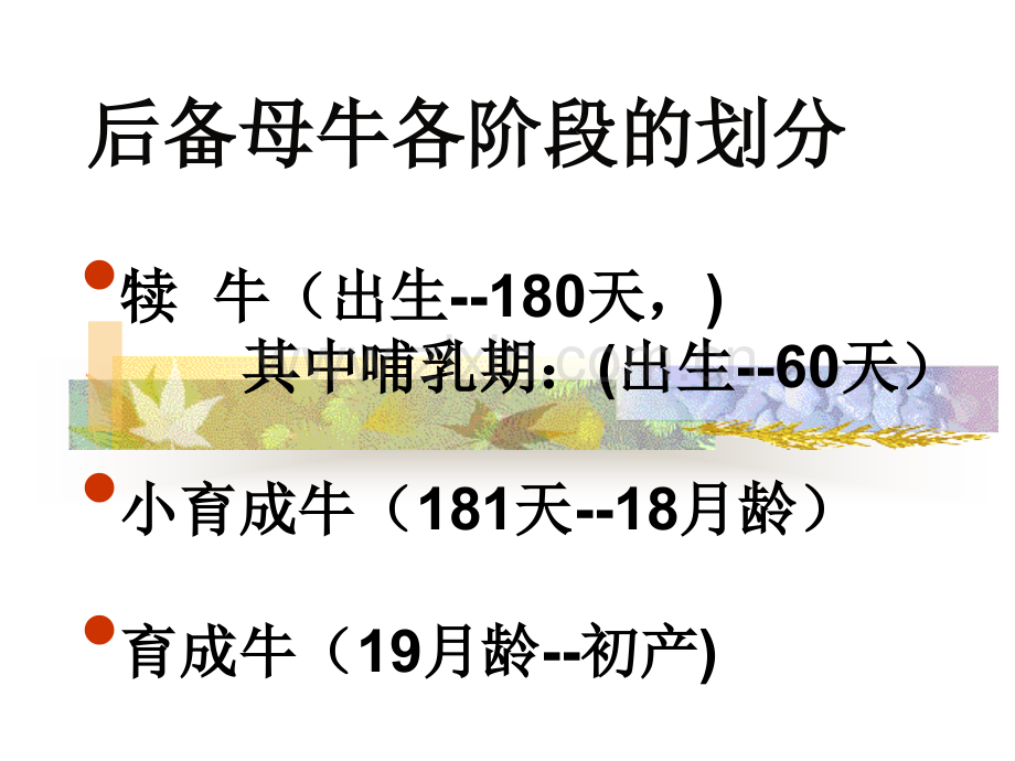 后备母牛的饲养管理a课件.ppt_第2页