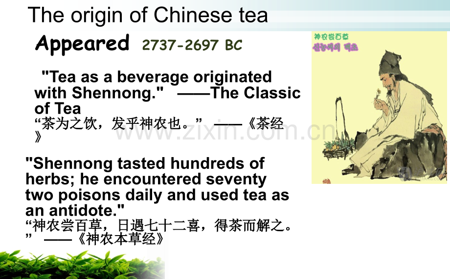 Chineseteaculture中国茶文化英文版.pptx_第3页