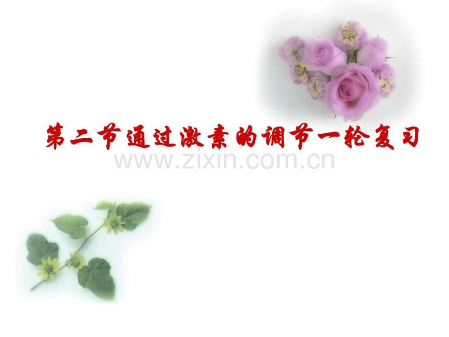 通过激素调节第一轮复习最终图文.pptx_第1页