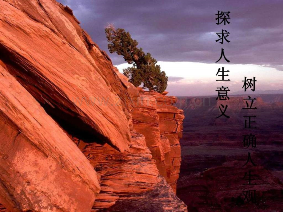 探索人生意义.pptx_第1页