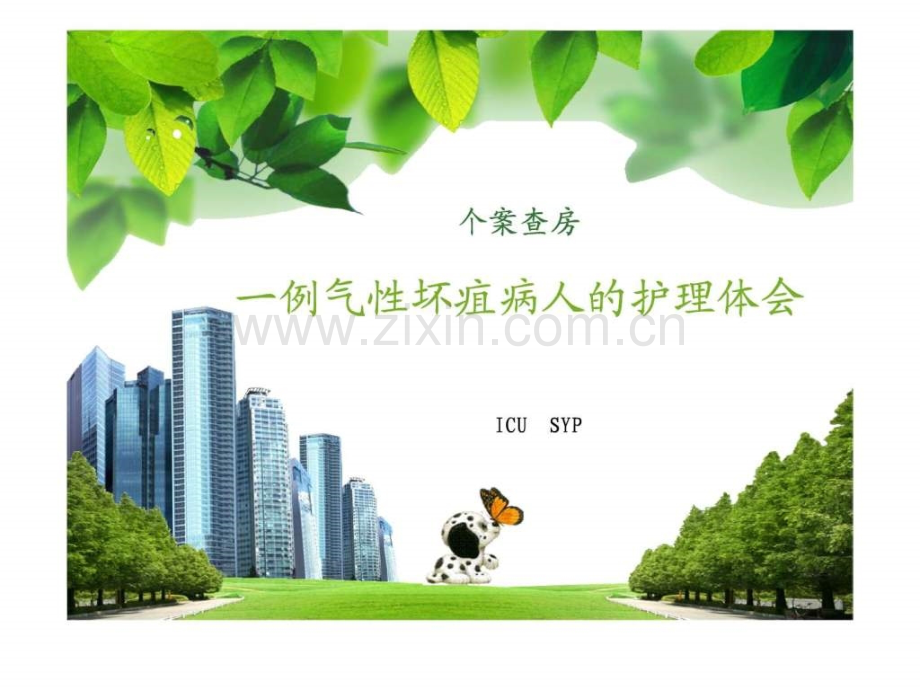 一例气性坏疽病人的护理.pptx_第1页
