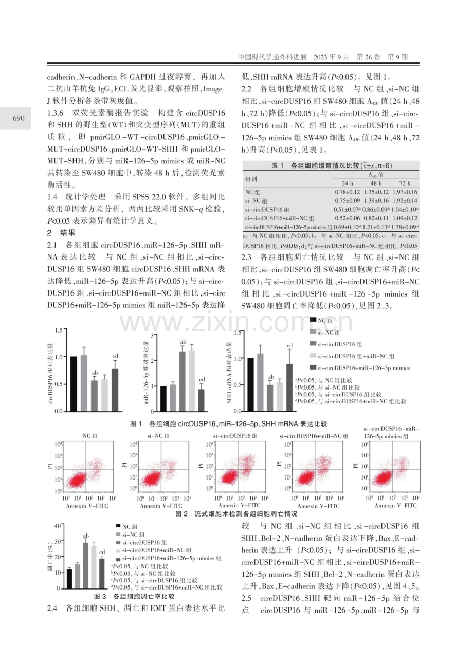 circDUSP16调节miR-126-5p_SHH轴对结直肠癌细胞增殖、凋亡和上皮间质转化的影响.pdf_第3页