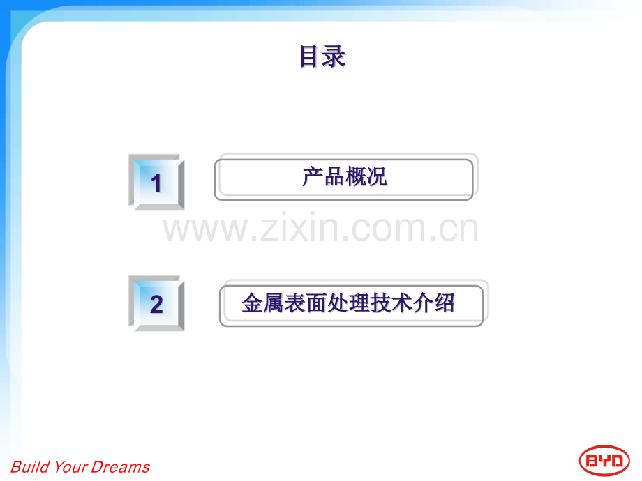 常见金属表面处理.pptx_第2页