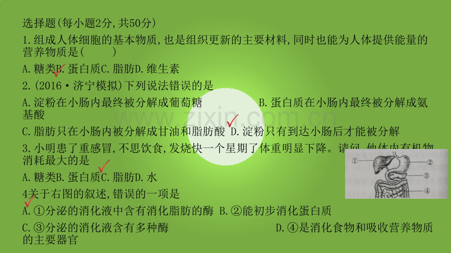 七下生物期中复习.pptx_第2页
