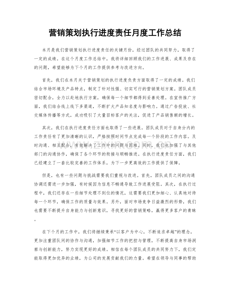 营销策划执行进度责任月度工作总结.docx_第1页