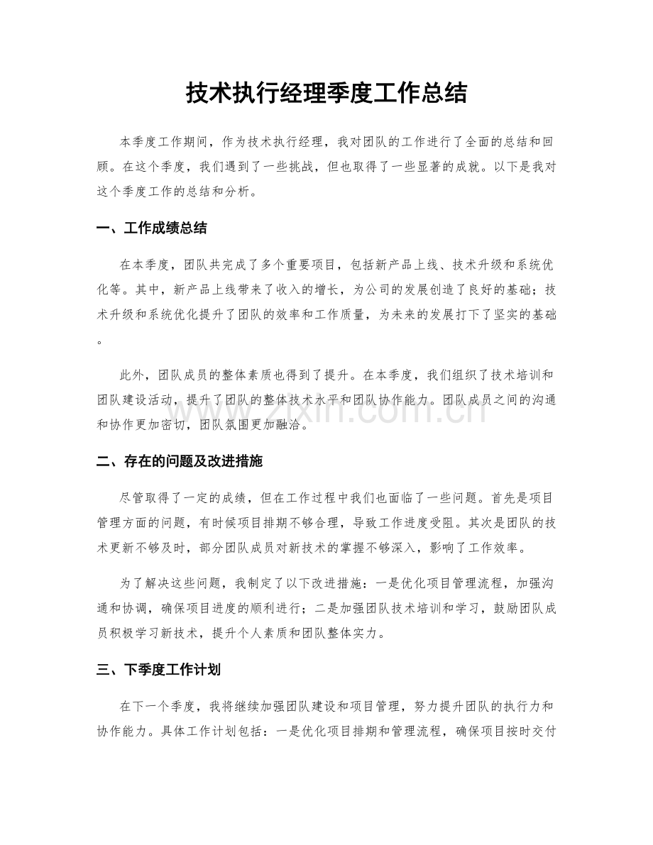 技术执行经理季度工作总结.docx_第1页