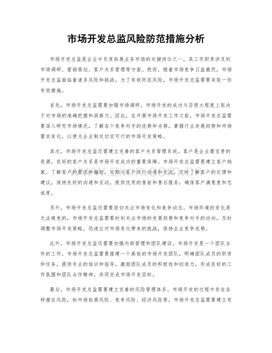 市场开发总监风险防范措施分析.docx_第1页