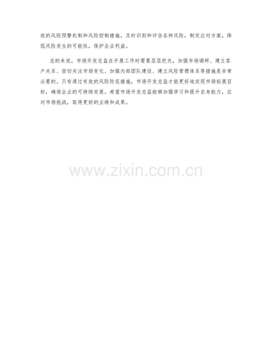 市场开发总监风险防范措施分析.docx_第2页