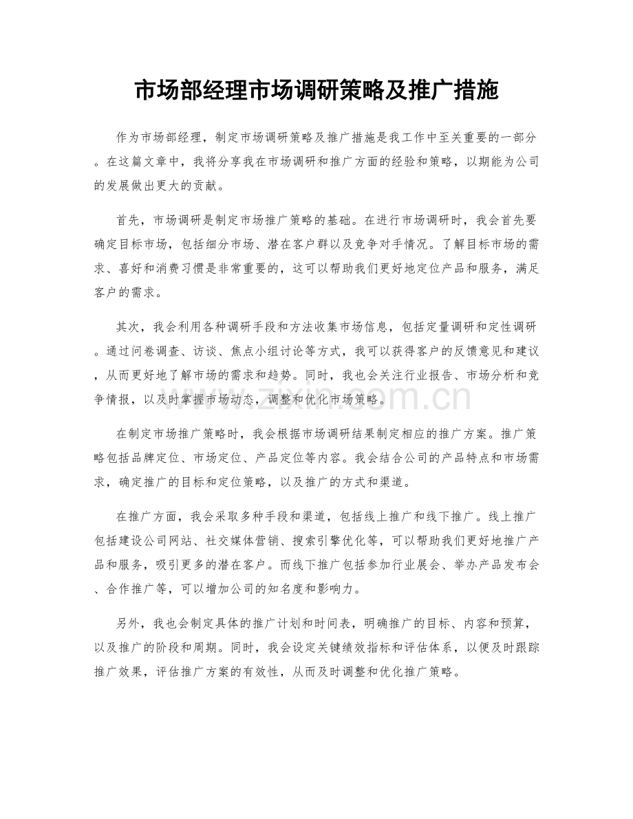 市场部经理市场调研策略及推广措施.docx_第1页