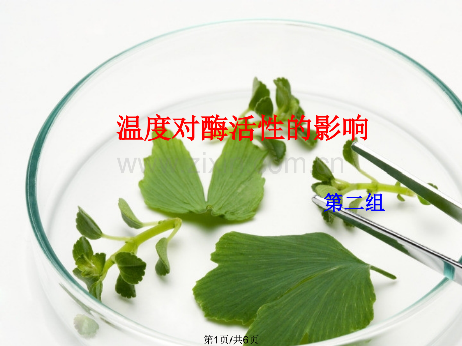 二组倾情制作.pptx_第1页