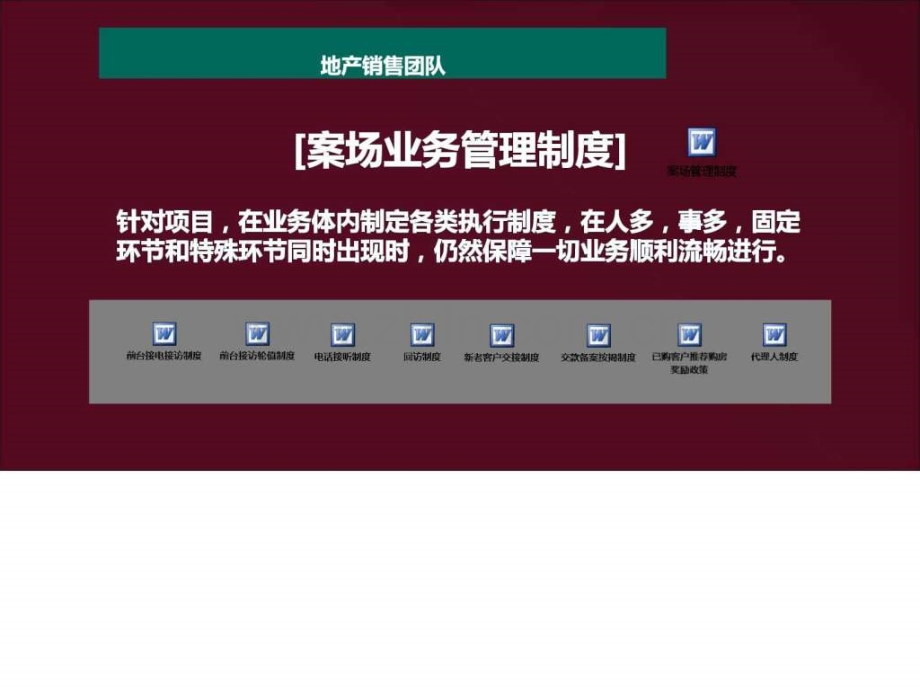 房地产商业地产购物广场市场调查营销策划销售推广招.pptx_第2页