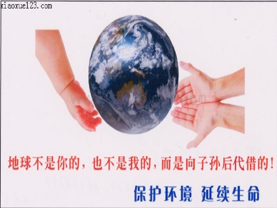 八年级生物下册保护生态环境冀教版.pptx_第2页