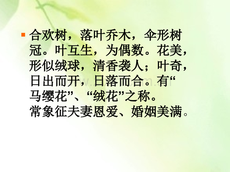 合欢树史铁生.pptx_第2页