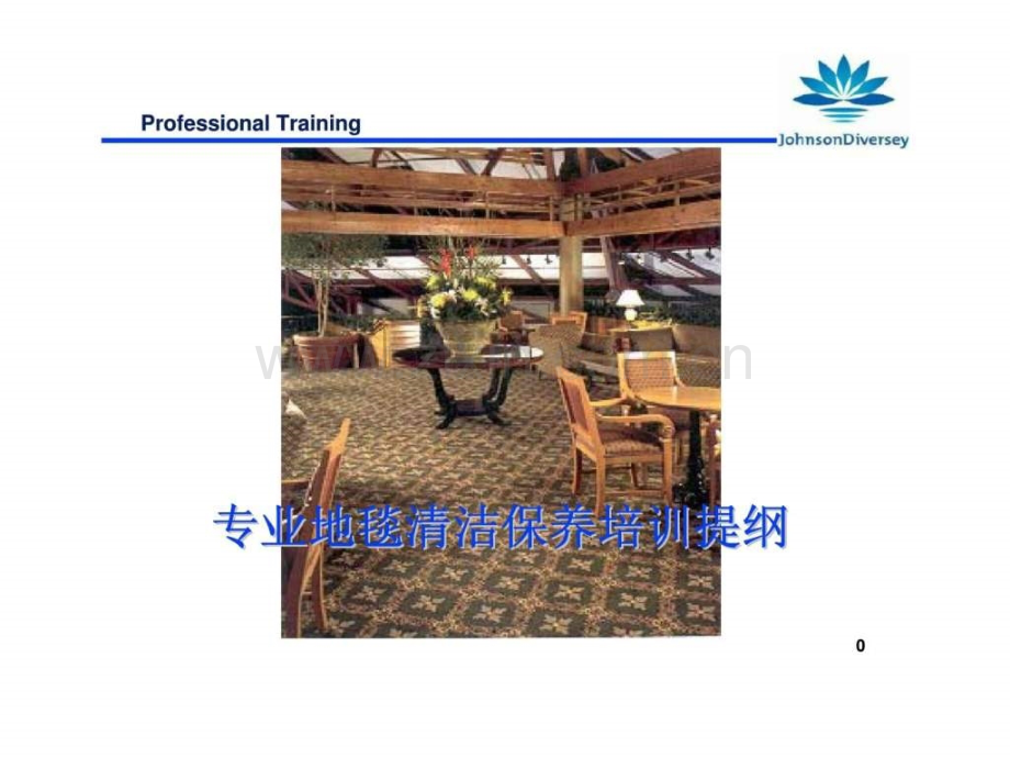 专业地毯清洁保养培训提纲.pptx_第1页