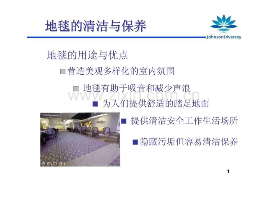专业地毯清洁保养培训提纲.pptx_第2页