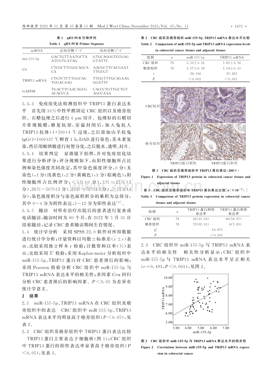 miR-155-5p和TRIP13在结直肠癌组织中的表达及与预后的关系.pdf_第3页