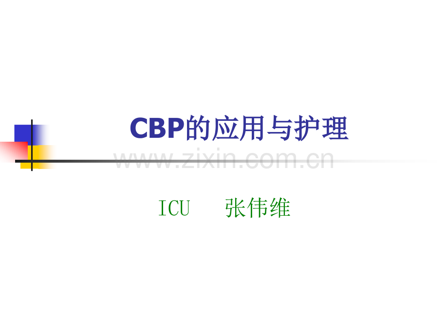 CBP专题讲座资料.pptx_第1页