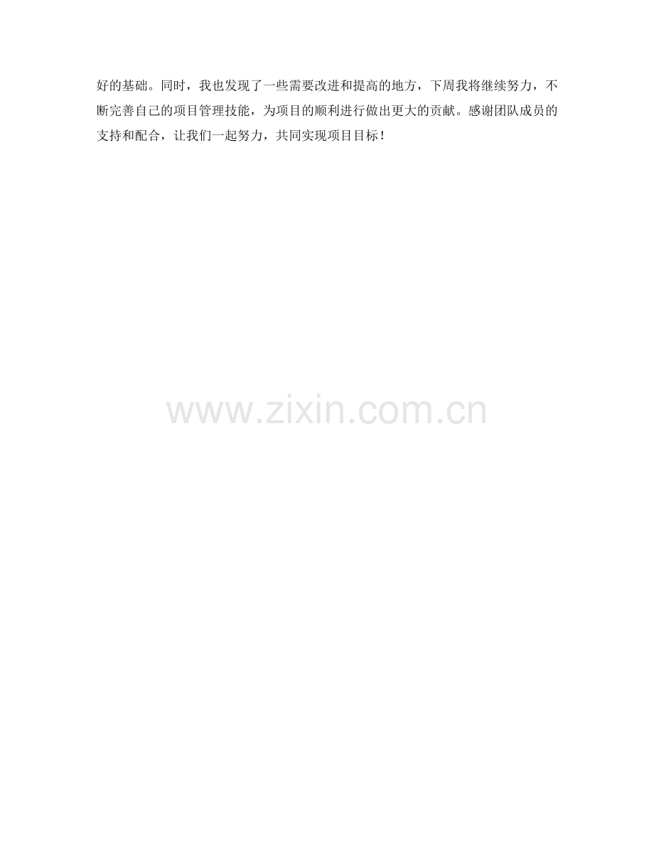 项目管理师周工作总结.docx_第2页
