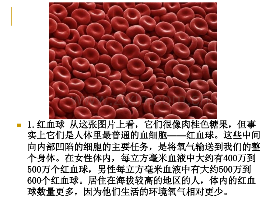 人体显微照片.pptx_第1页