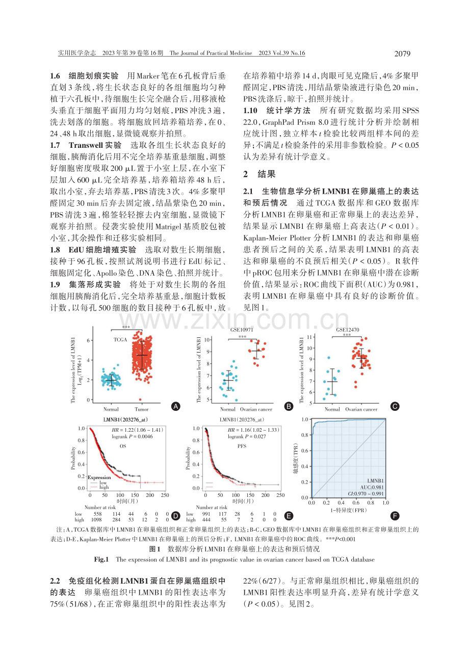 LMNB1在卵巢癌组织中的表达及其对卵巢癌细胞生物学行为的影响.pdf_第3页