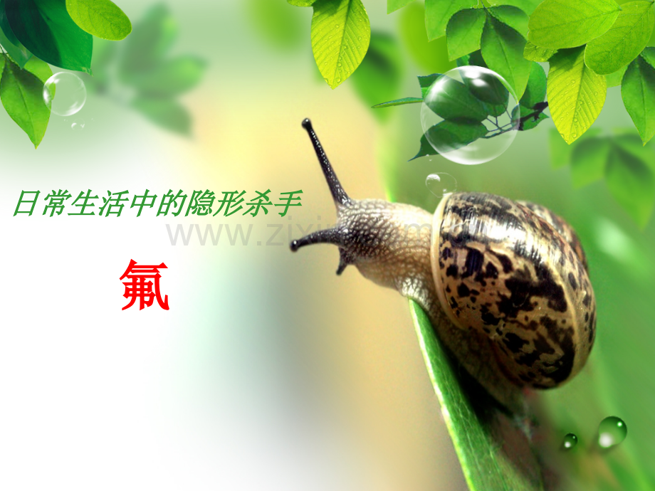 牙齿中的含氟量.pptx_第1页