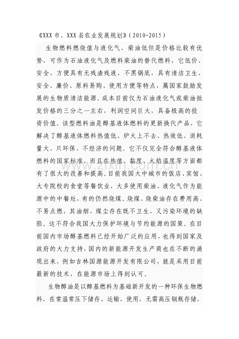 100万吨合成柴油、醇基燃料生产线项目可行性研究报告.docx_第2页
