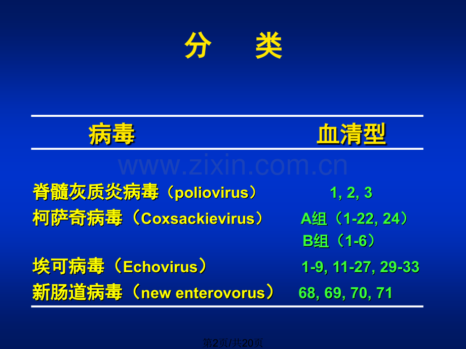 27肠道病毒.pptx_第2页