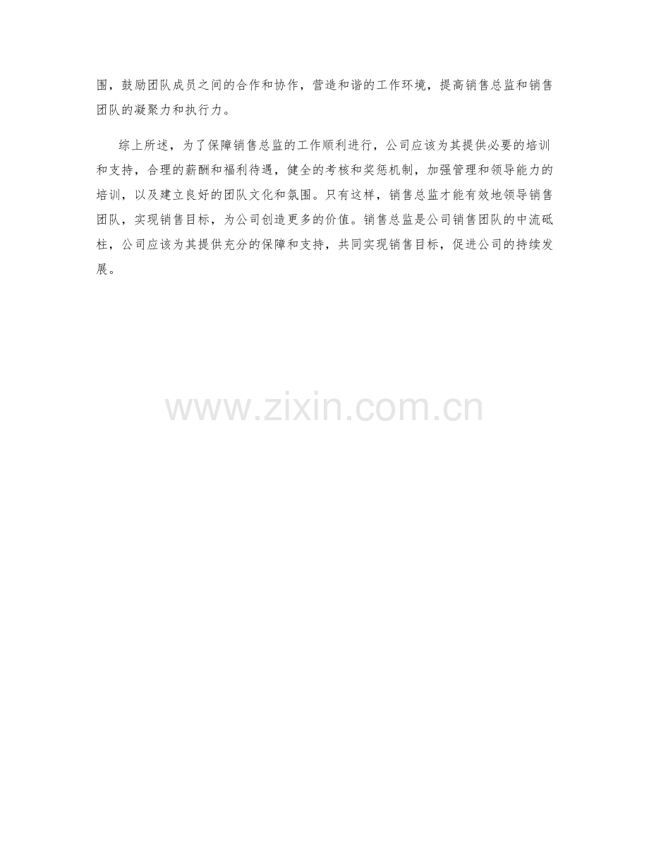 销售总监的保障措施详解.docx_第2页