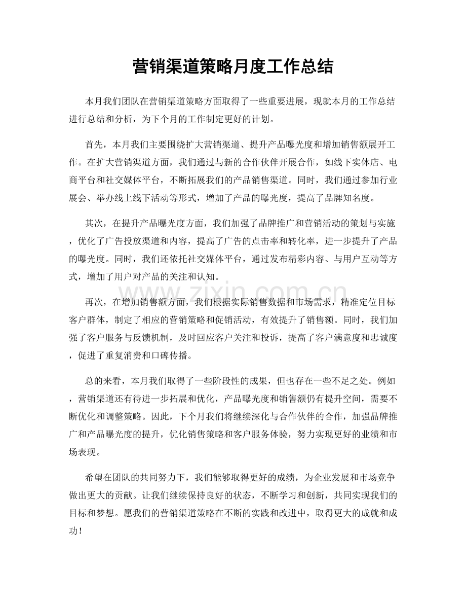 营销渠道策略月度工作总结.docx_第1页