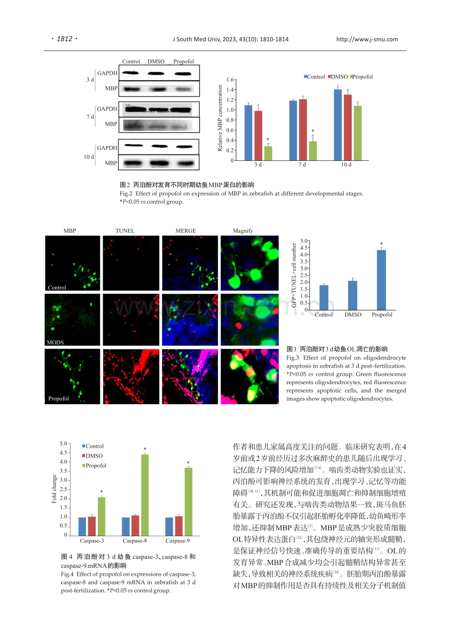 丙泊酚对不同发育时期斑马鱼鞘磷脂蛋白表达的影响.pdf_第3页