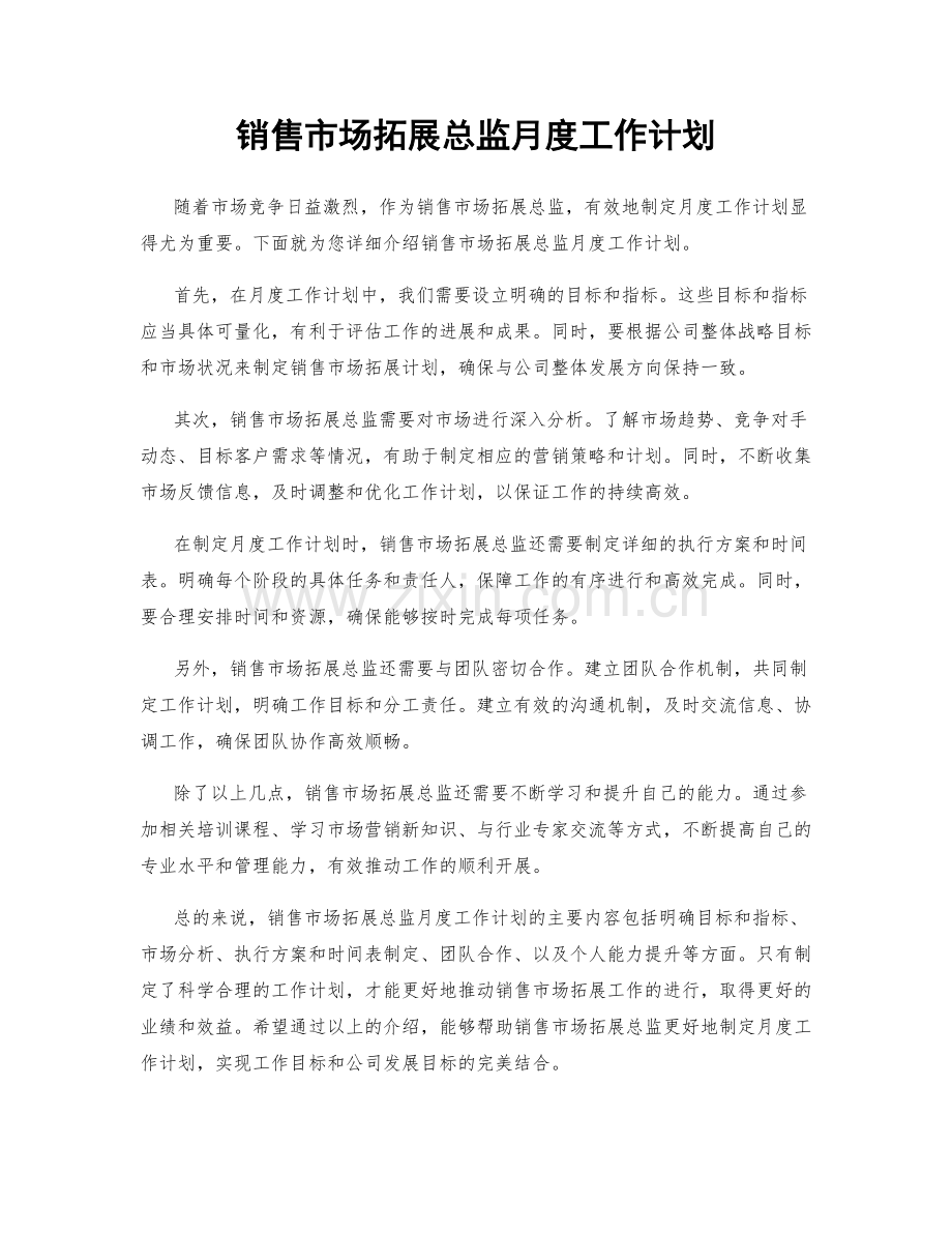 销售市场拓展总监月度工作计划.docx_第1页