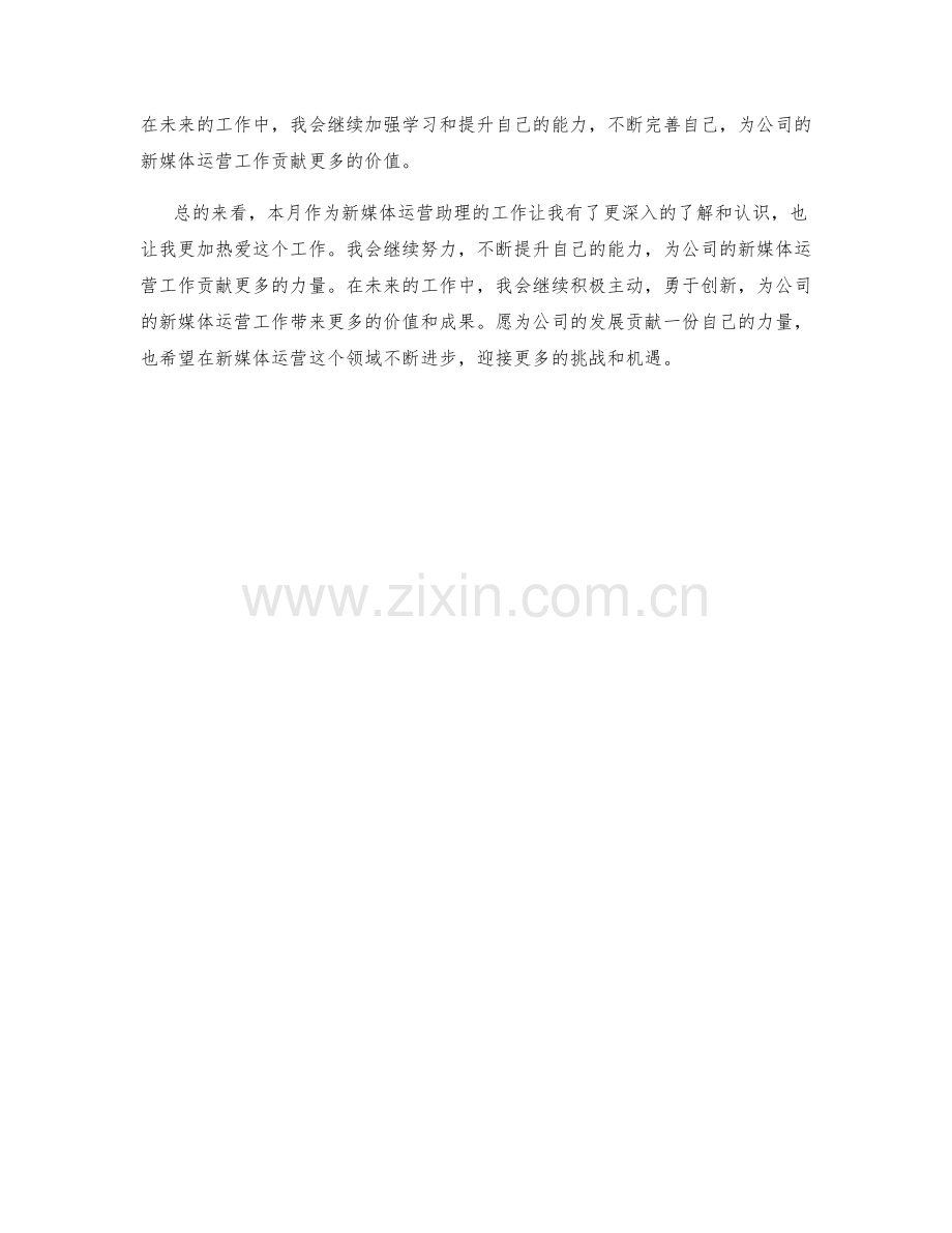 新媒体运营助理月度工作总结.docx_第2页