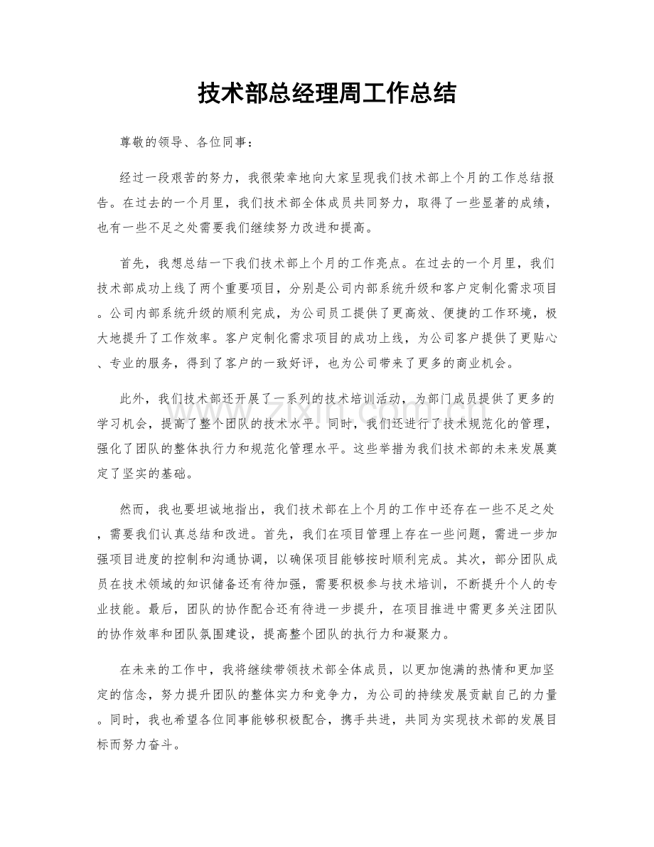 技术部总经理周工作总结.docx_第1页
