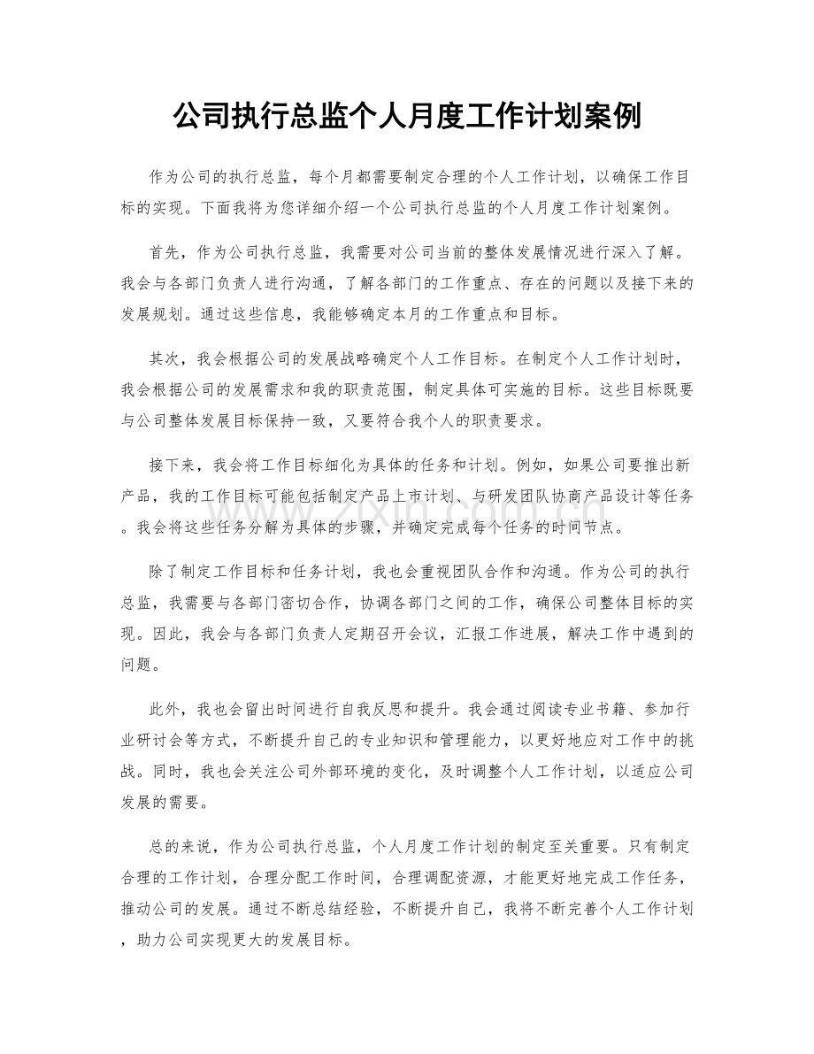 公司执行总监个人月度工作计划案例.docx_第1页