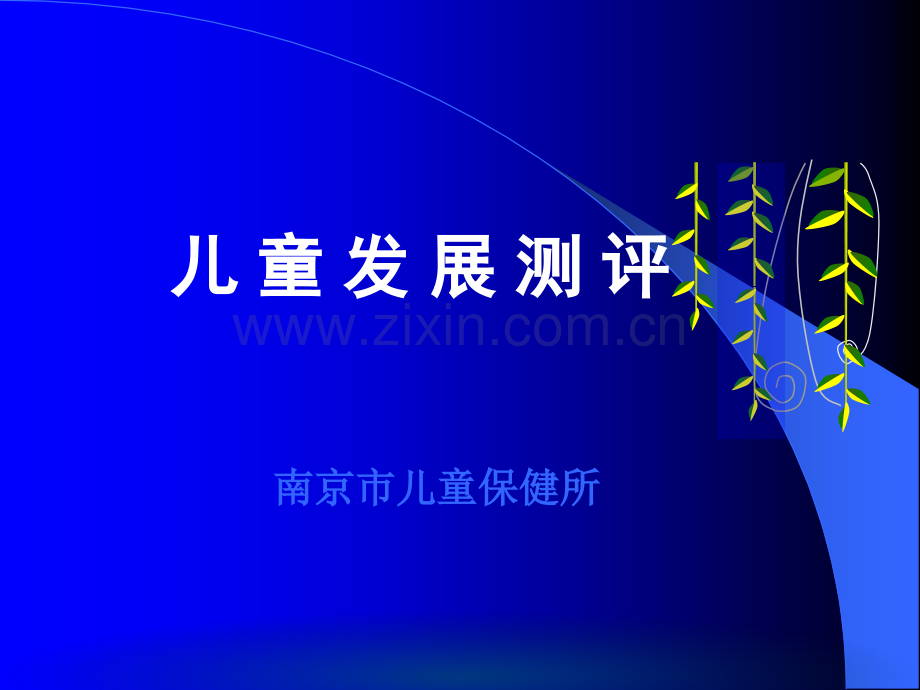 儿童发展测评ppt课件.ppt_第1页