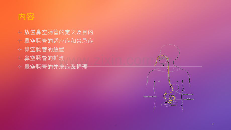 鼻肠管的护理ppt课件.ppt_第2页