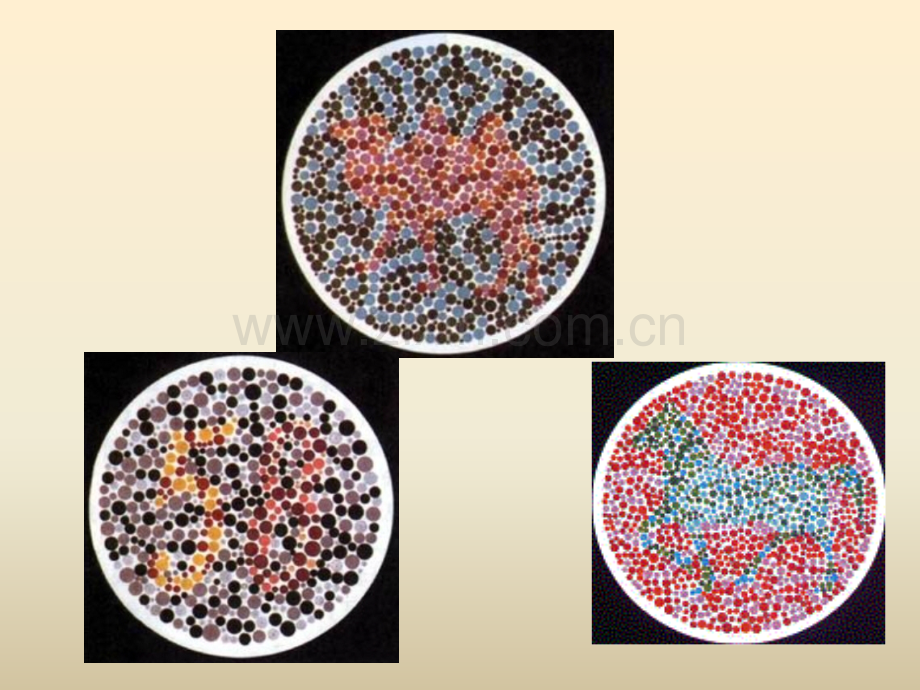 伴性遗传课件ppt.ppt_第1页