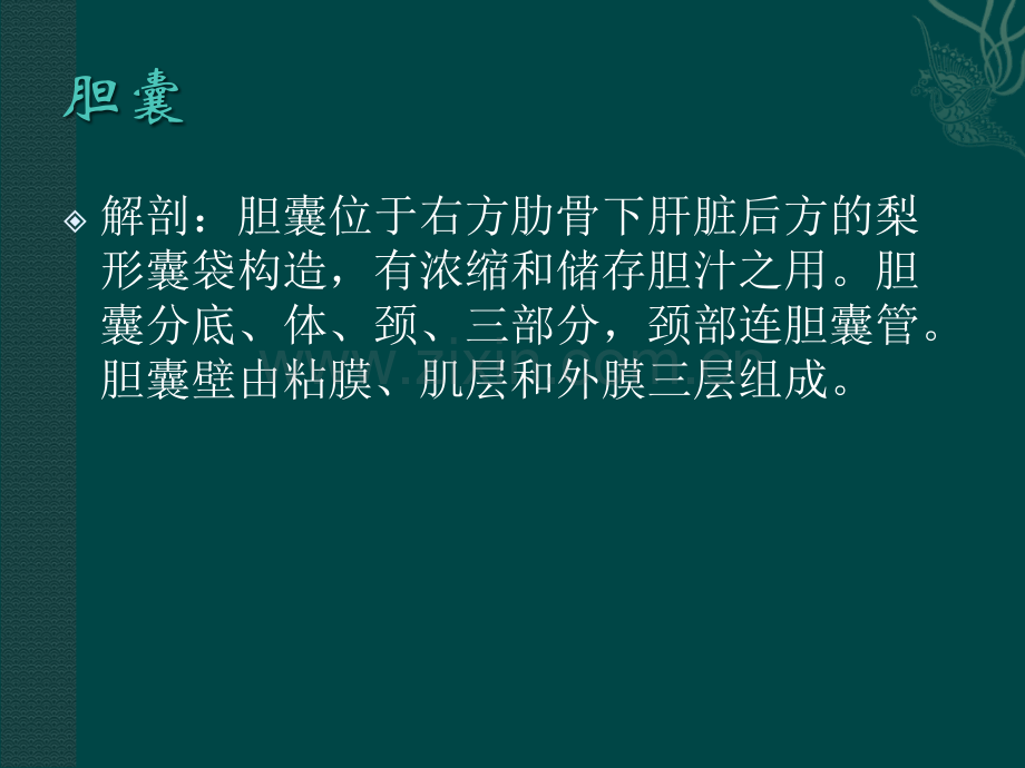 腹腔镜胆囊切除术的护理.ppt_第2页